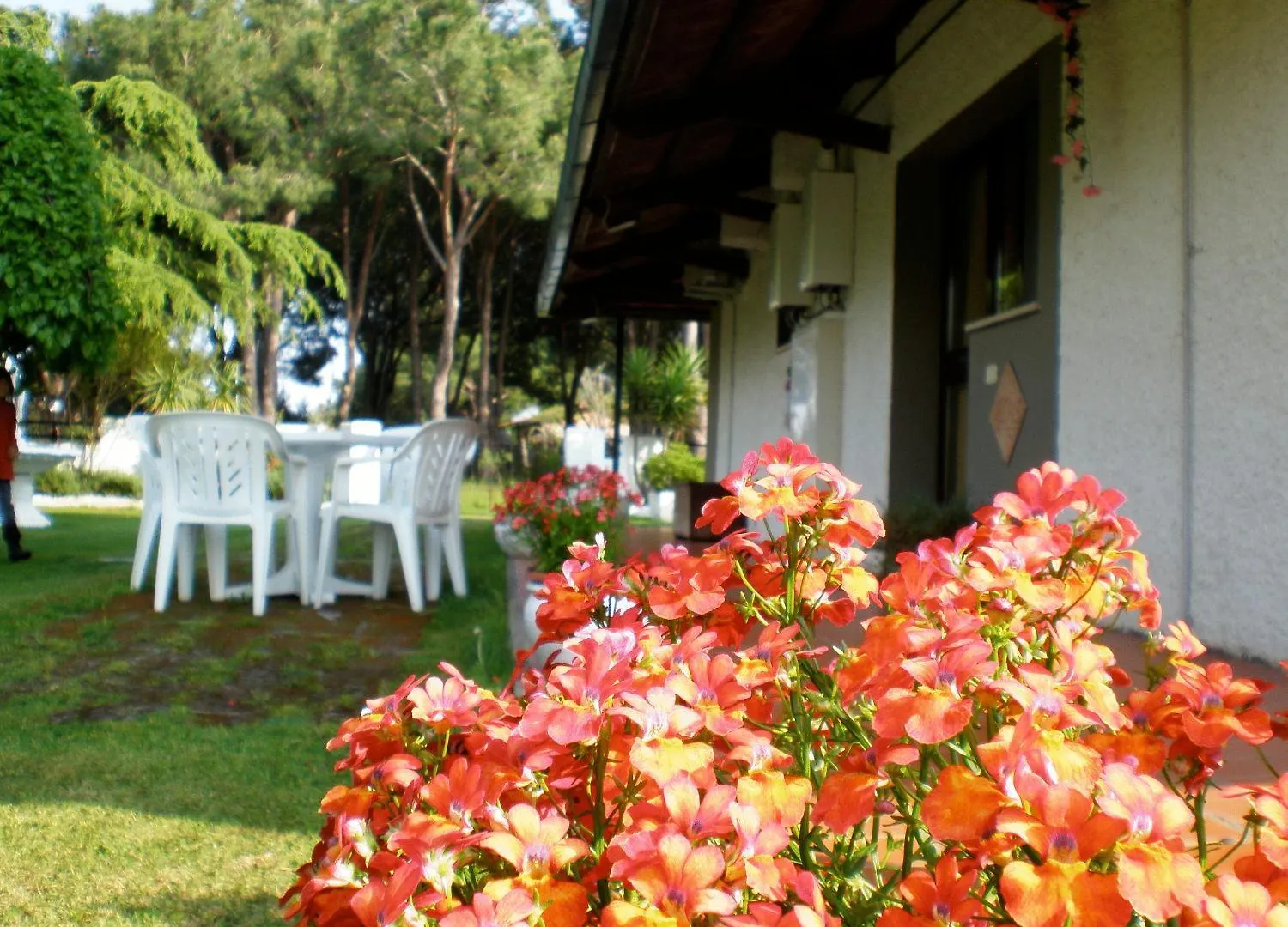 Villa Isabella Marina di Grosseto Italien