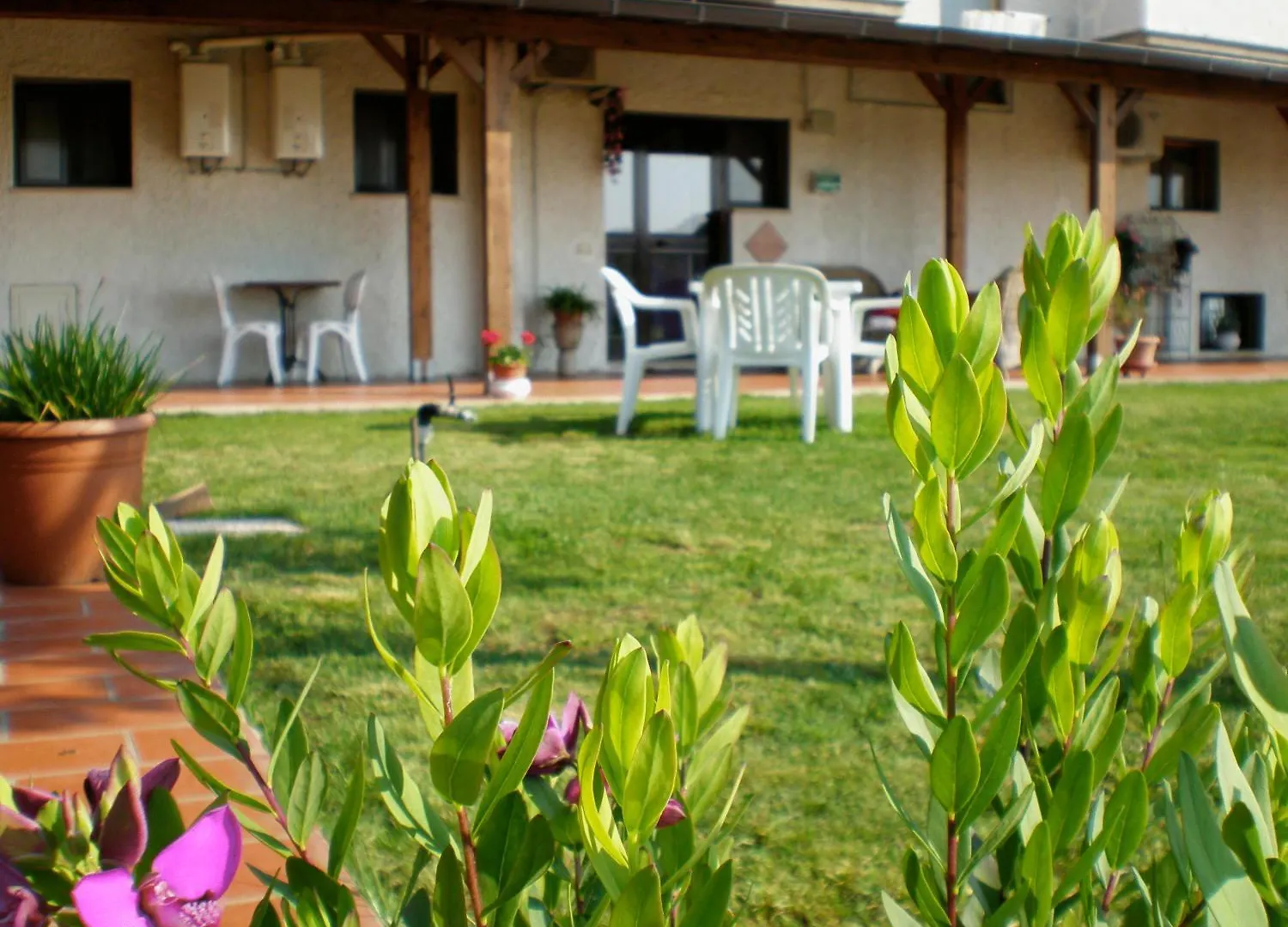 Villa Isabella Marina di Grosseto